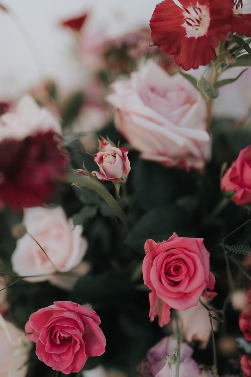 Residence Venue Set up