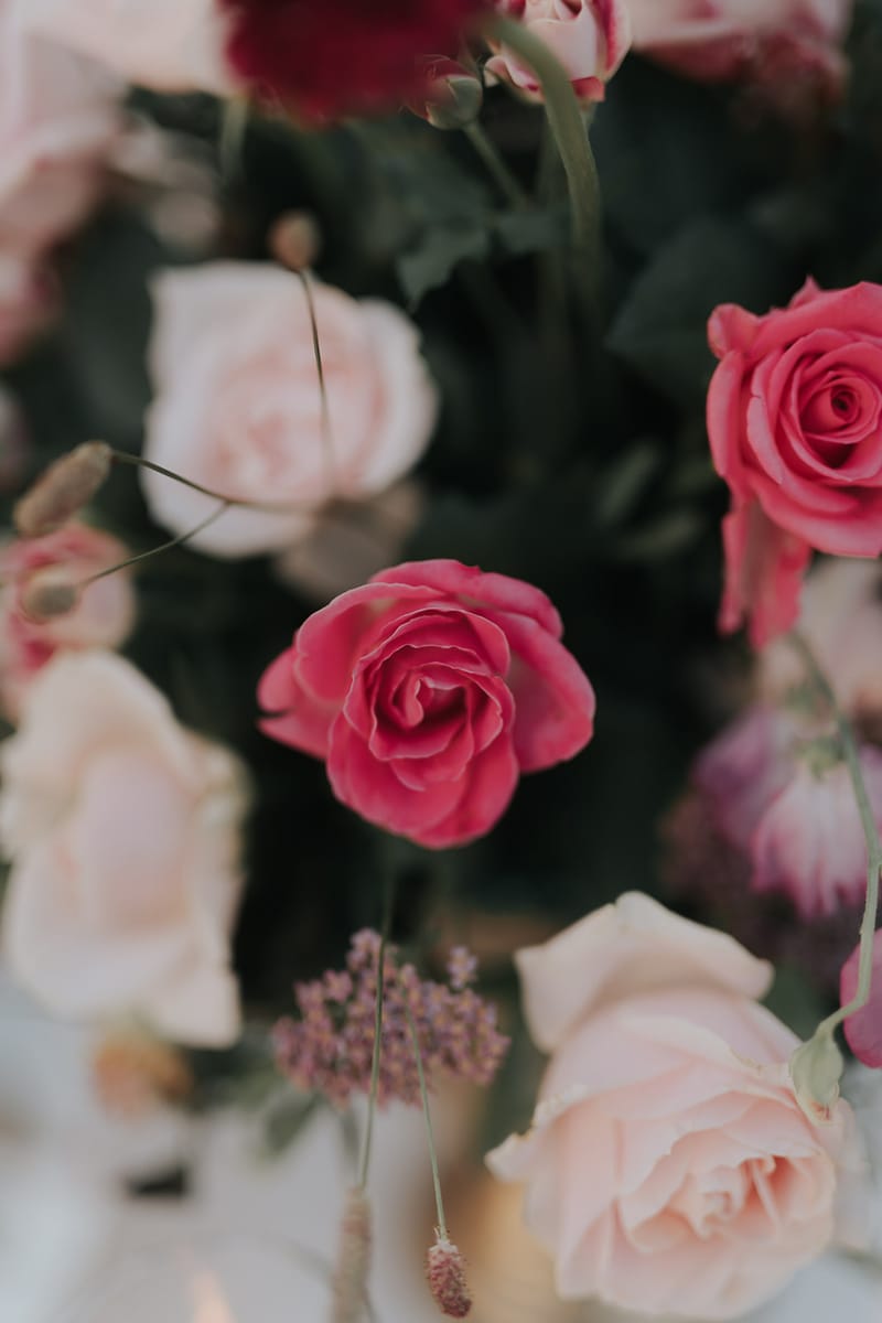 Residence Venue Set up