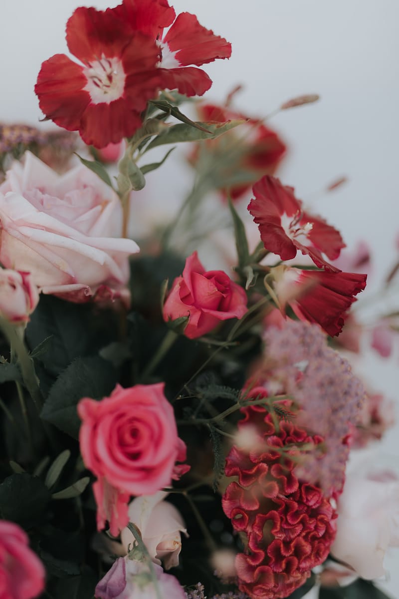 Residence Venue Set up