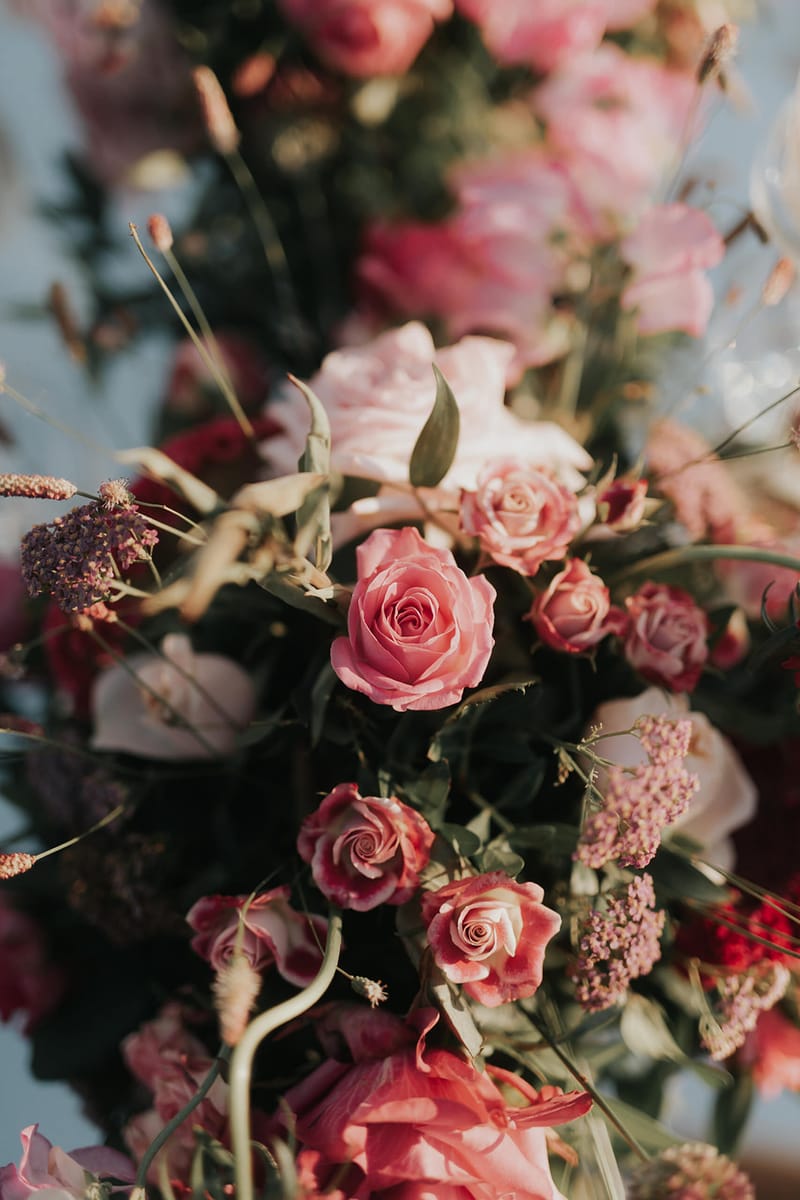 Cocktail hour and Reception