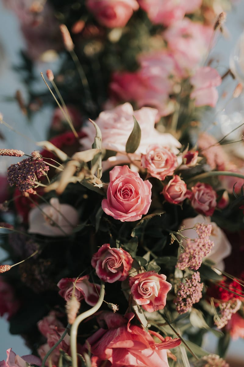 Cocktail hour and Reception