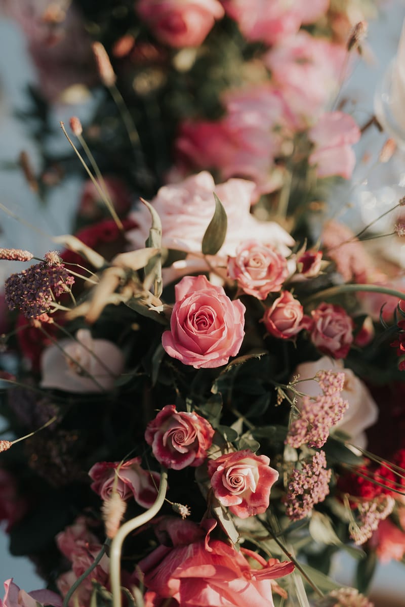 Cocktail hour and Reception