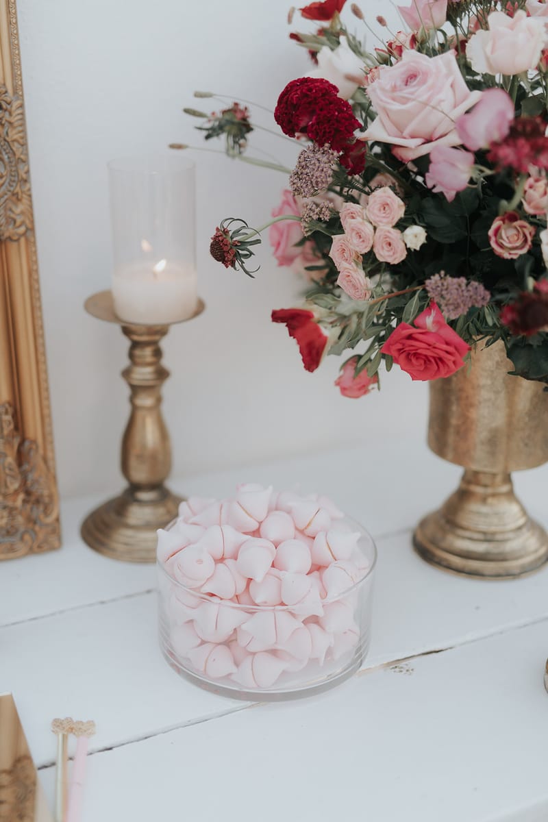 Cocktail hour and Reception