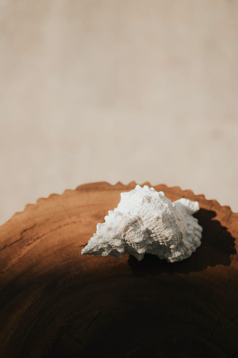 Groom Preparation at the Four Seasons Astir Palace hotel in Athens