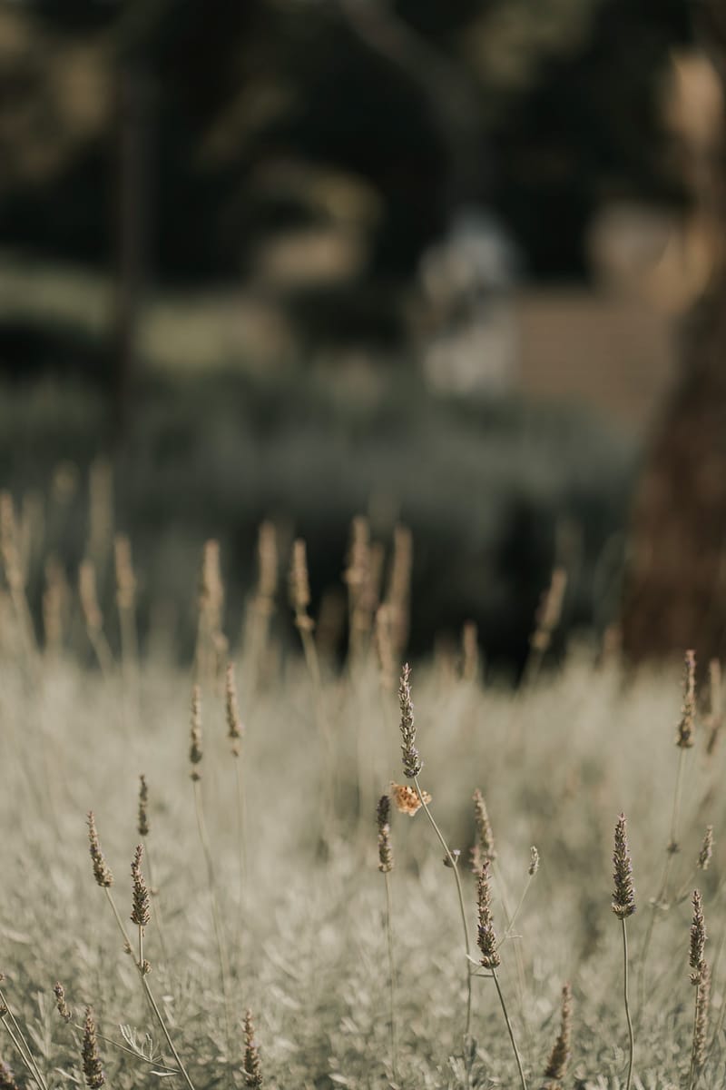 Groom Preparation at the Four Seasons Astir Palace hotel in Athens