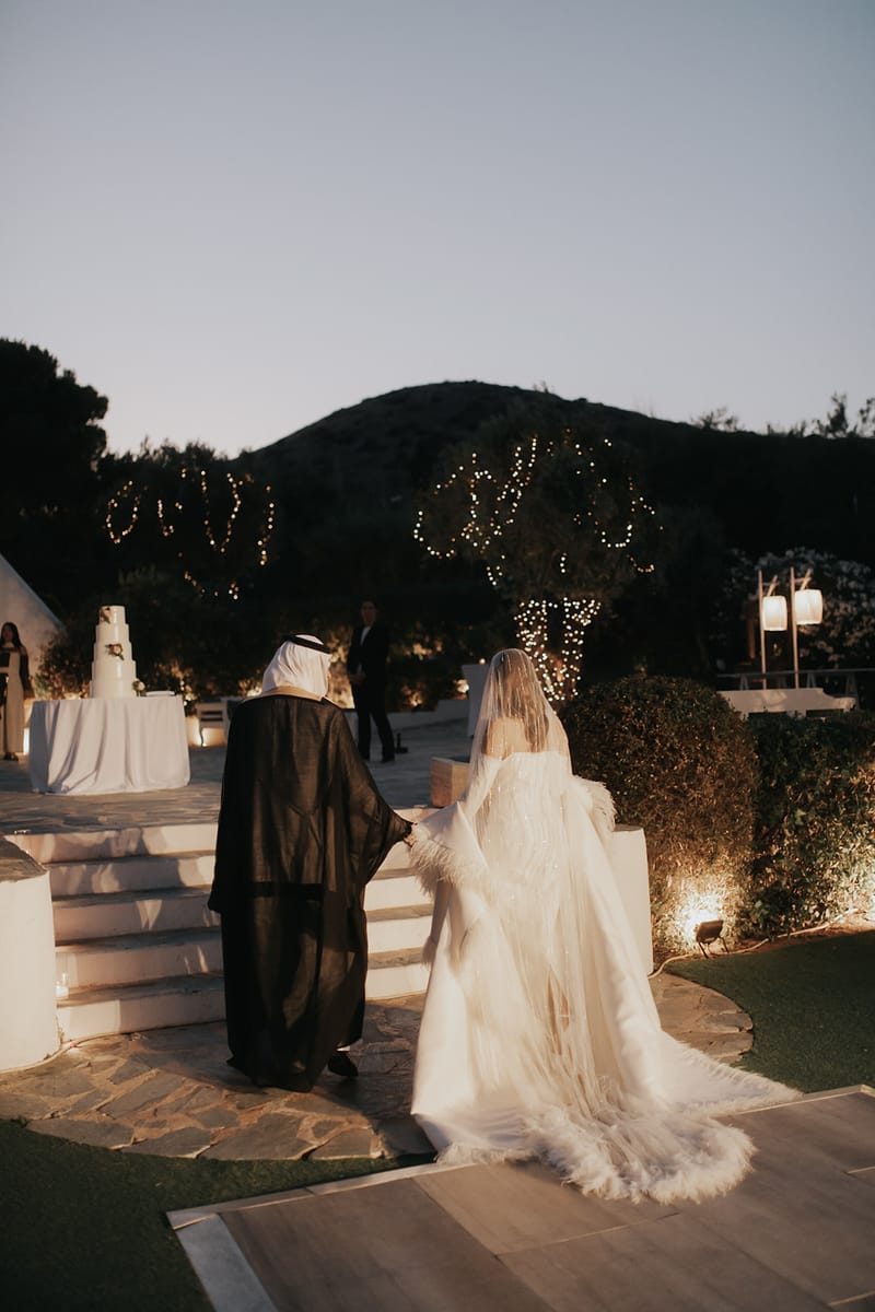 WEdding Cake and Party