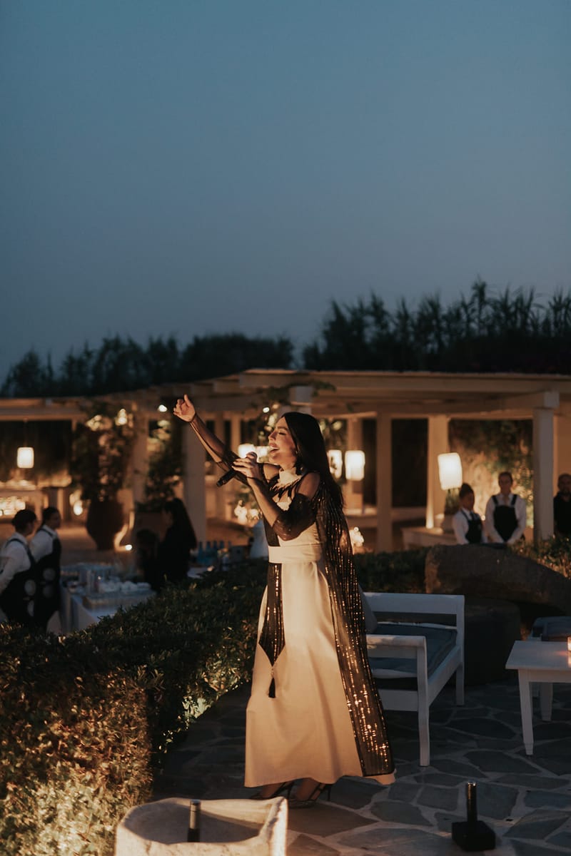 WEdding Cake and Party