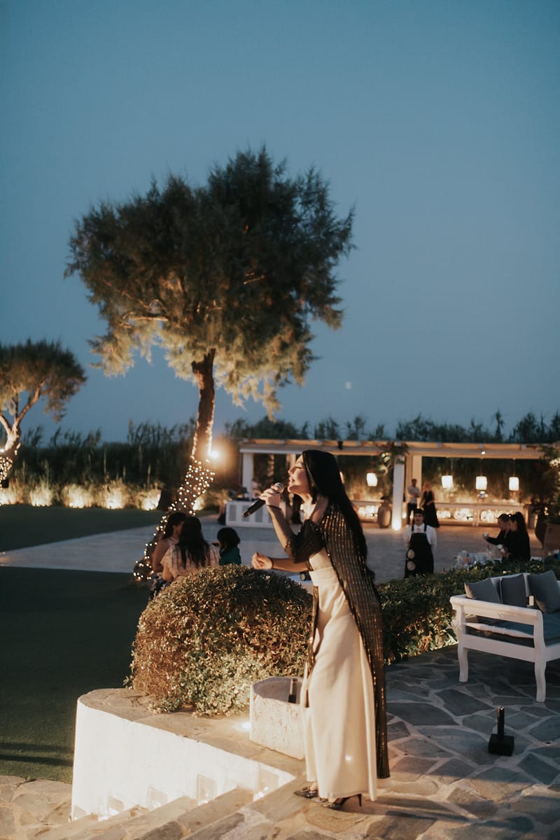 WEdding Cake and Party