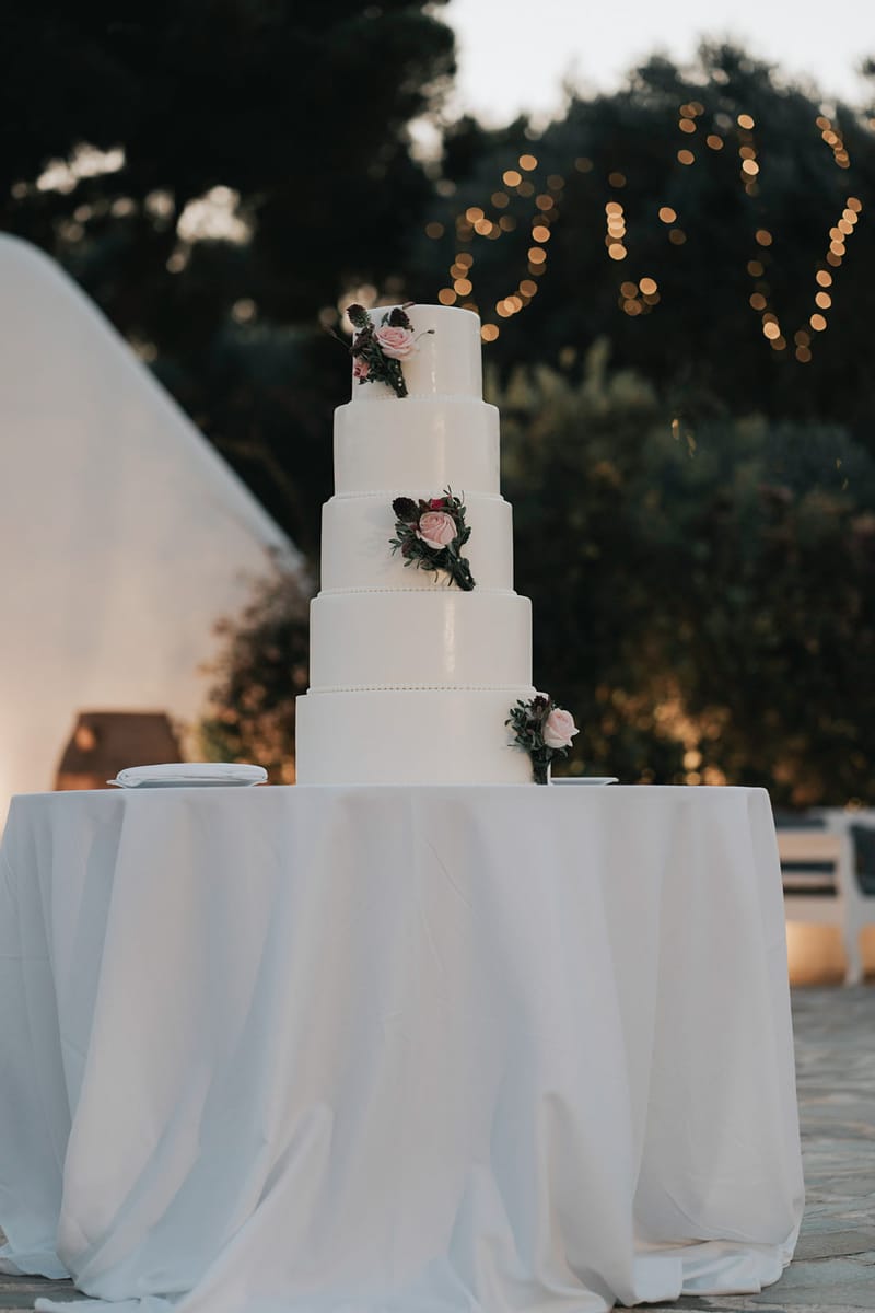 WEdding Cake and Party