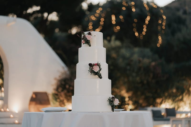 WEdding Cake and Party