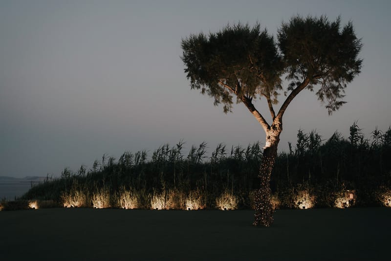 WEdding Cake and Party