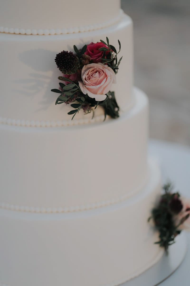 WEdding Cake and Party