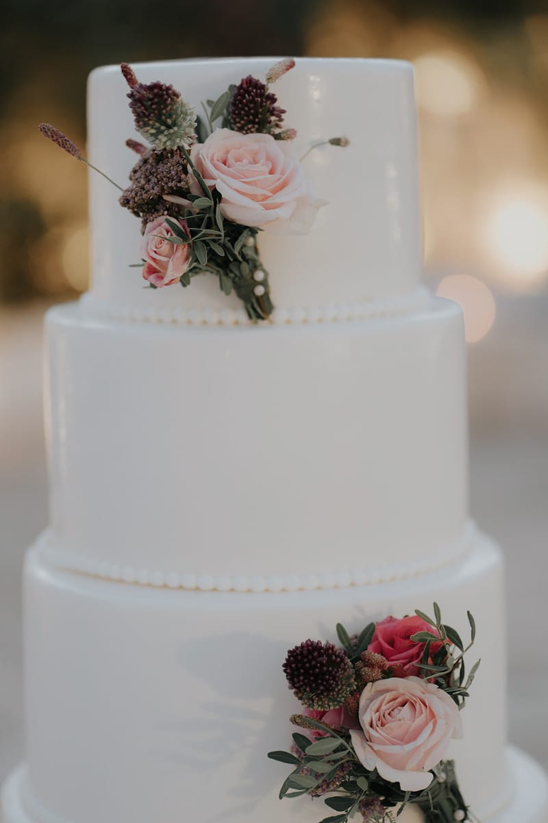 WEdding Cake and Party