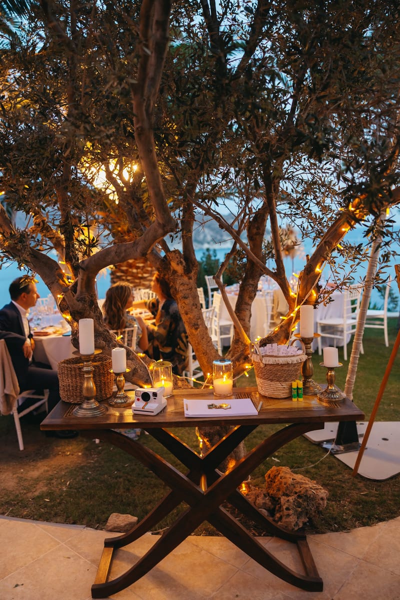 Teodora & Daniel Wedding in Ios Island