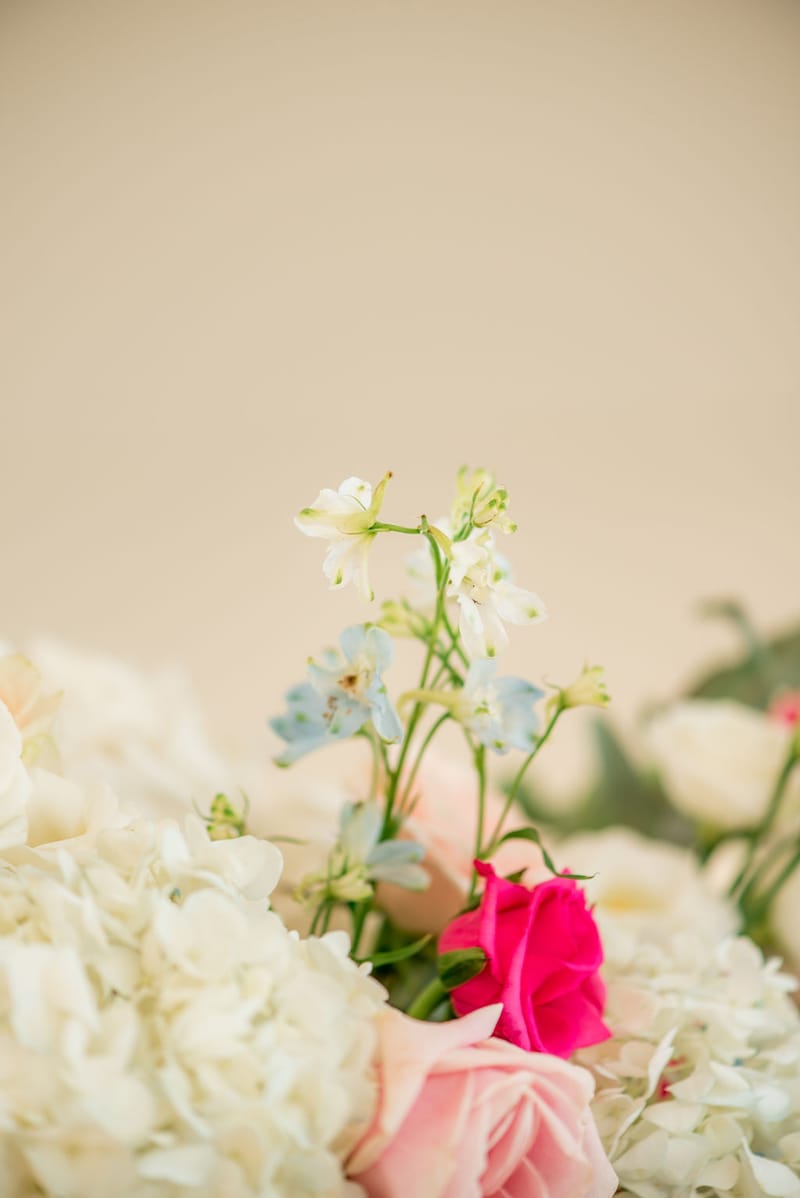 Stefania & Ed Wedding @ Four Seasons Astir Palace Hotel Athens