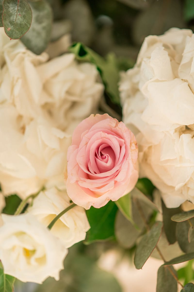 Stefania & Ed Wedding @ Four Seasons Astir Palace Hotel Athens