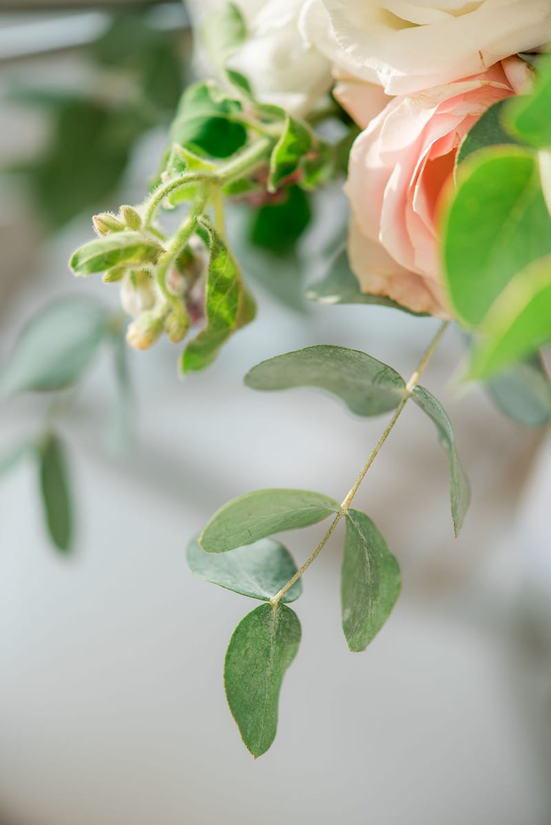 Stefania & Ed Wedding @ Four Seasons Astir Palace Hotel Athens