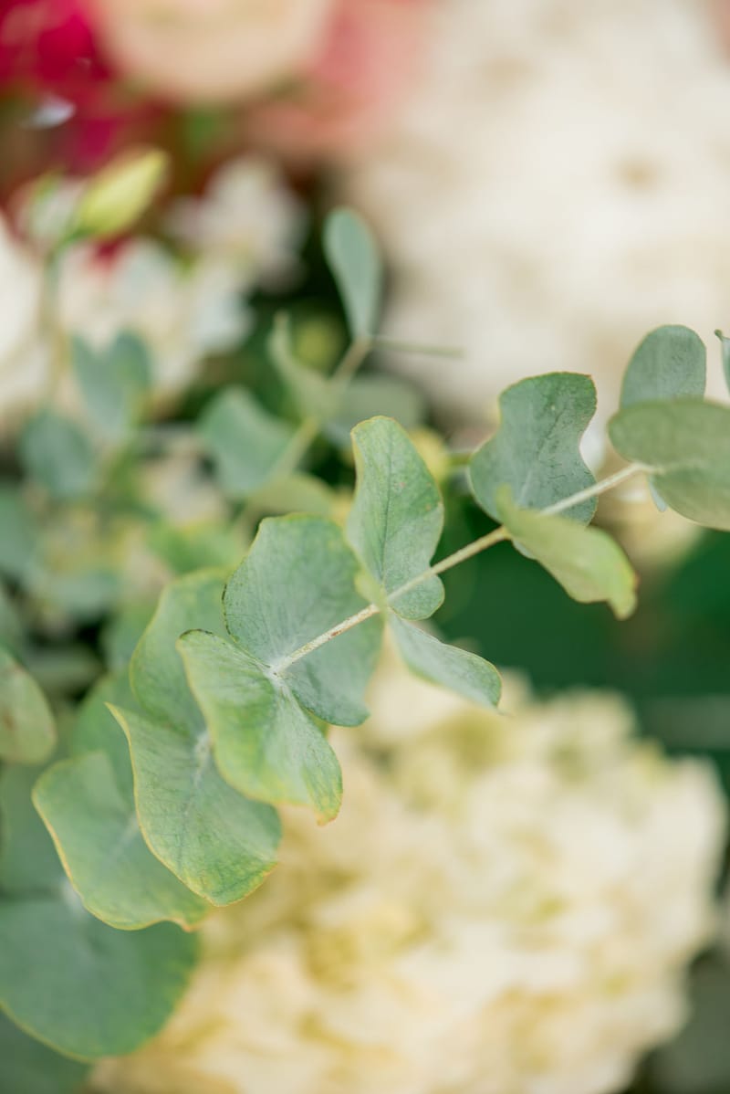 Stefania & Ed Wedding @ Four Seasons Astir Palace Hotel Athens