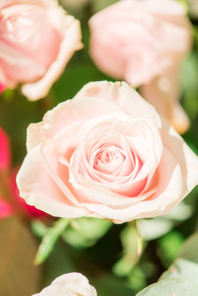 Stefania & Ed Wedding @ Four Seasons Astir Palace Hotel Athens