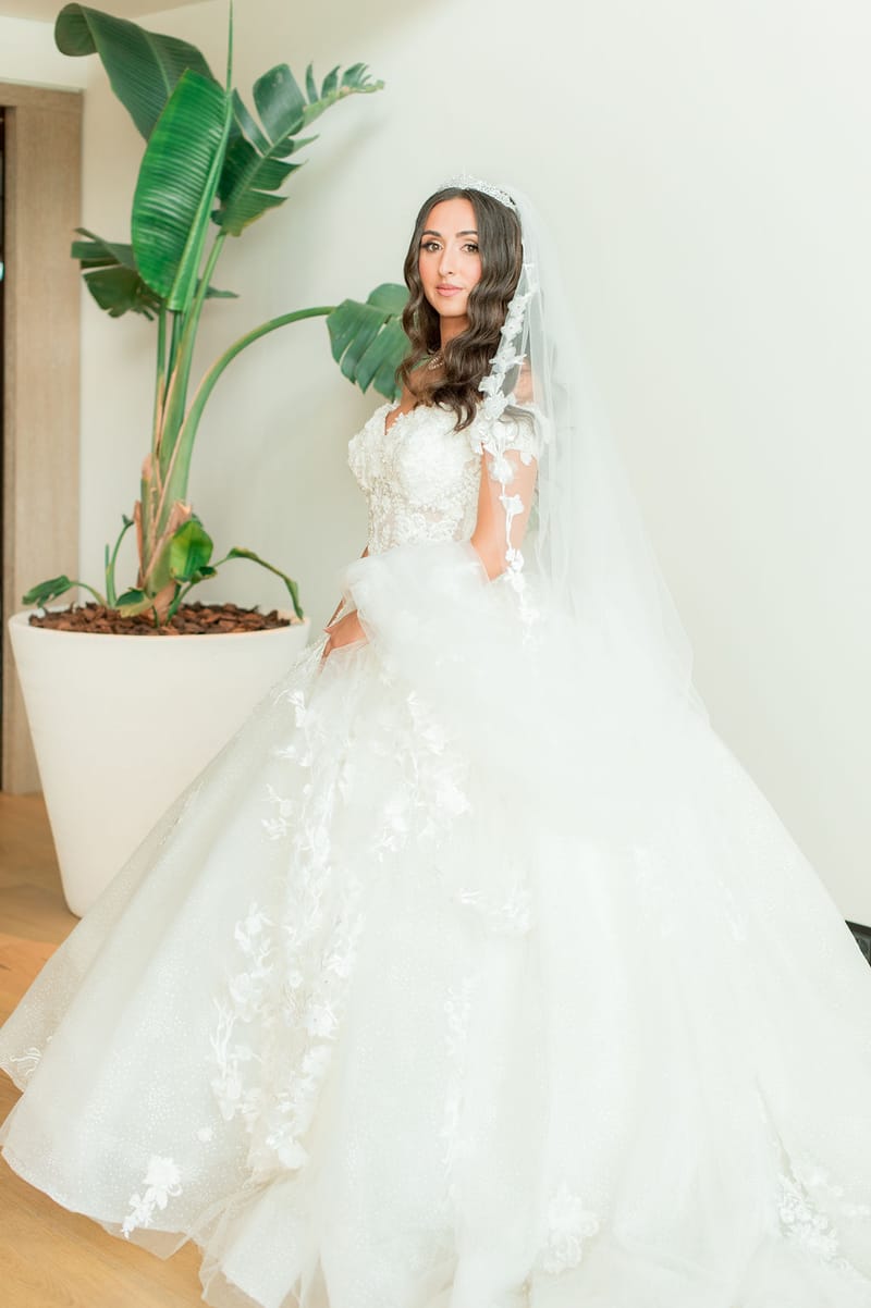 Brides and grooms Portraits