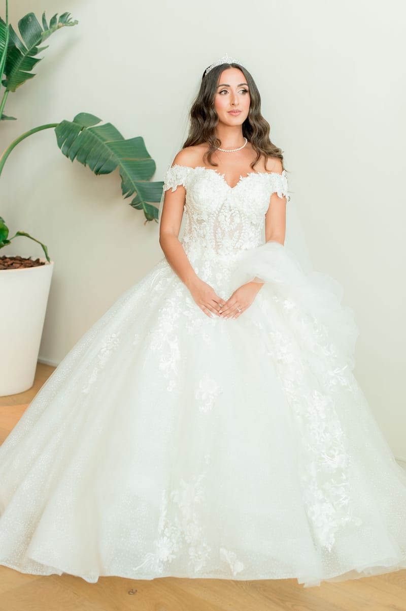 Brides and grooms Portraits