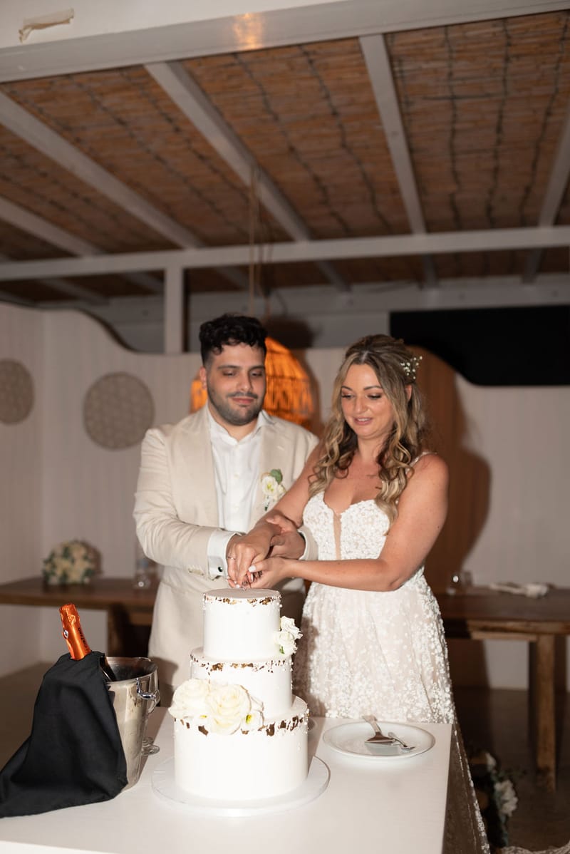 Dianna & Ali Wedding in Ios Island