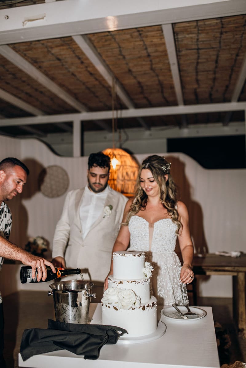 Dianna & Ali Wedding in Ios Island