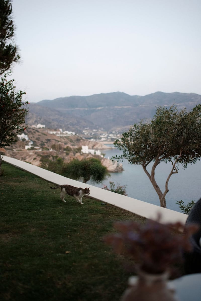 Becca & Phil Wedding in Ios Island 