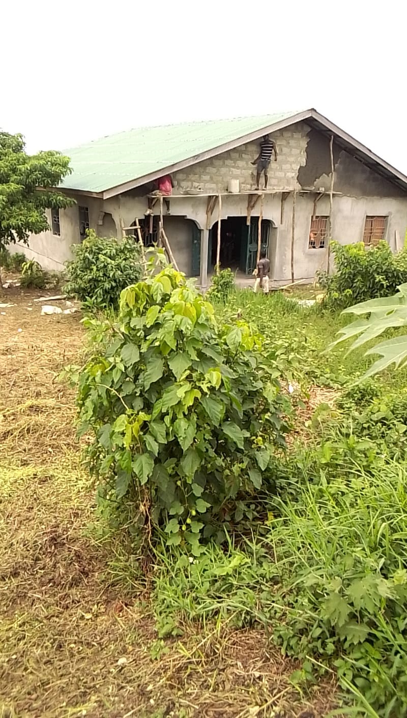 The Clinic 