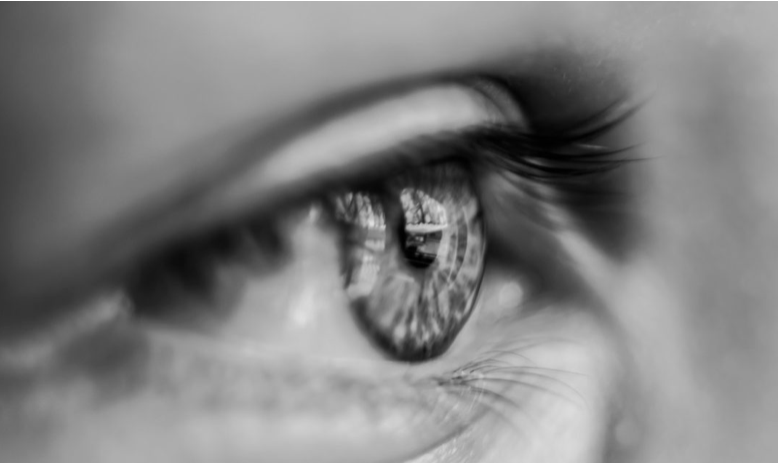 deepeye: KI schützt vor Erblinden