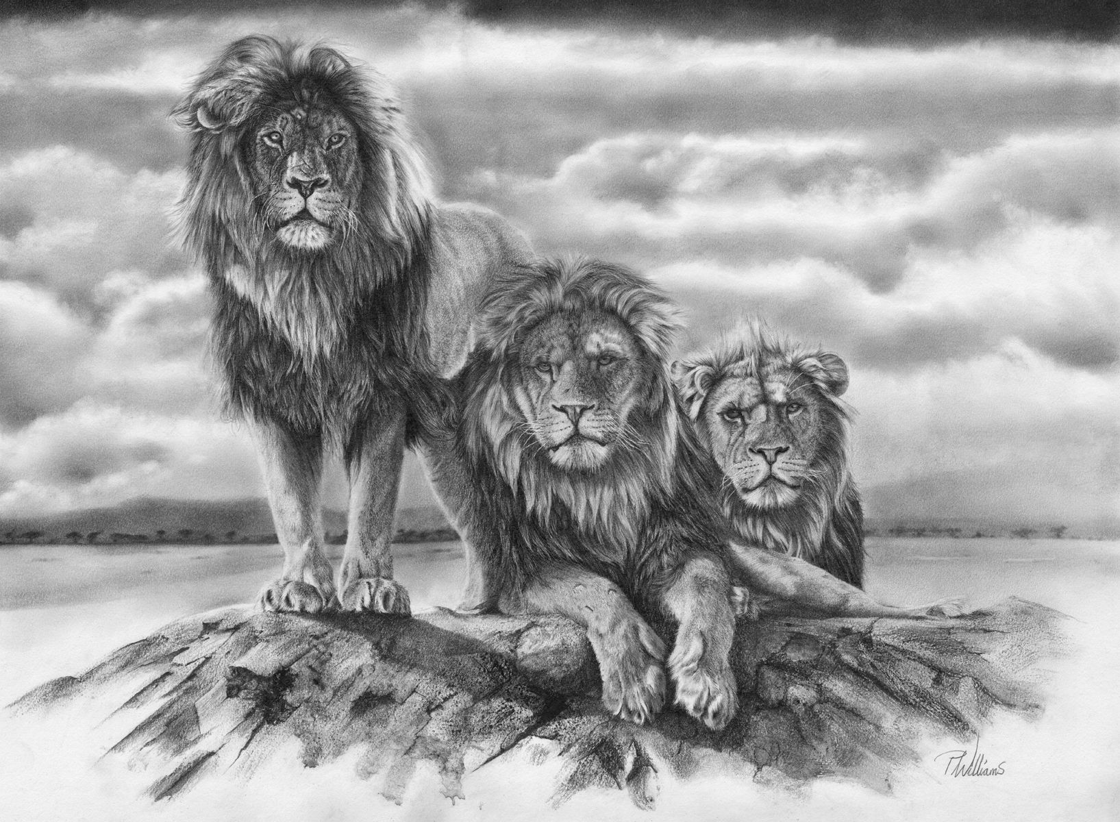 Band of Brothers - lion pencil drawing