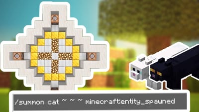 Cat Spawn Event