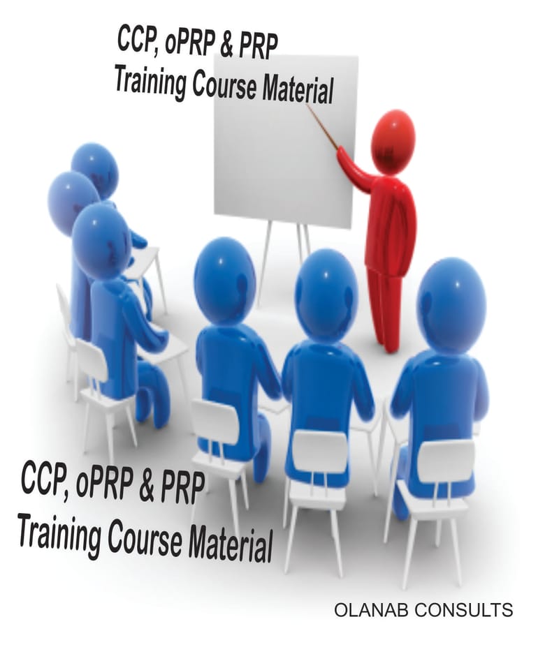 Elevate Your Team’s Potential with Cutting-Edge Training Materials