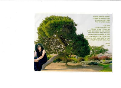 מתי מדריכת חוויה אומנותית לגיל הרך image