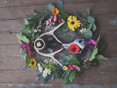 Ostara & The Spring Equinox