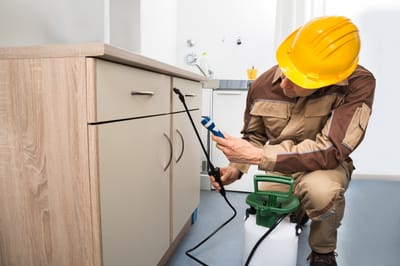 The Relevance of Hiring Pest Management Works Experts image