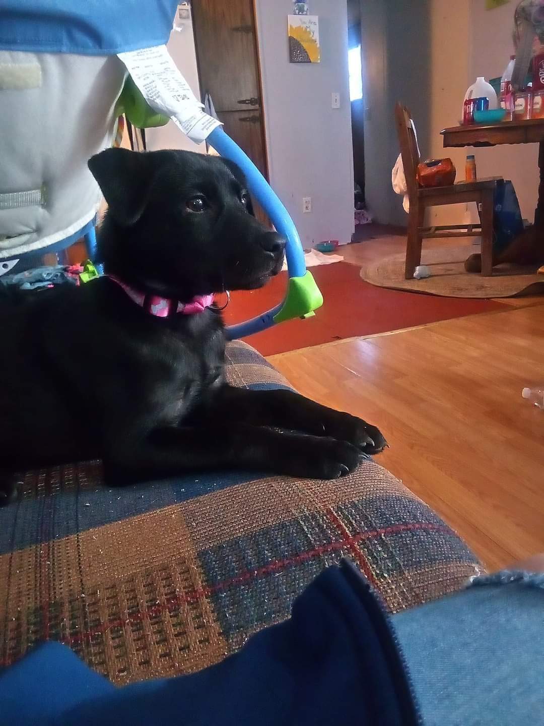 Hemi