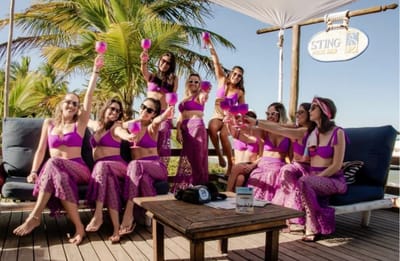 pré-casamentos/aniversários/festa  image