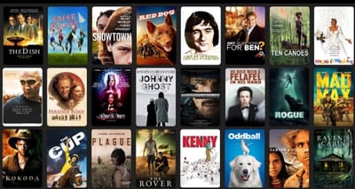 What Is Wrong With Piracy?