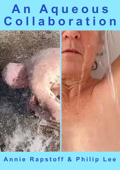 An Acqeous Collaboration, 2021