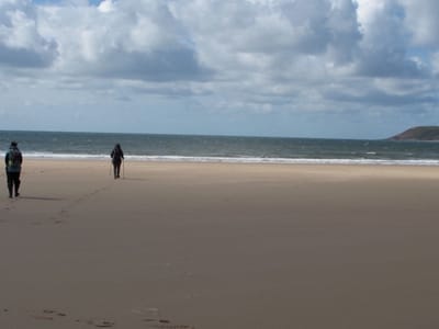 Why Collaborate, a short essay