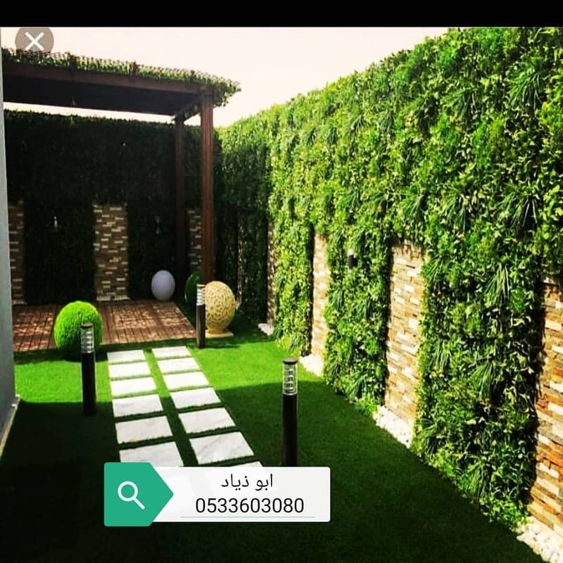 عشب جدارى