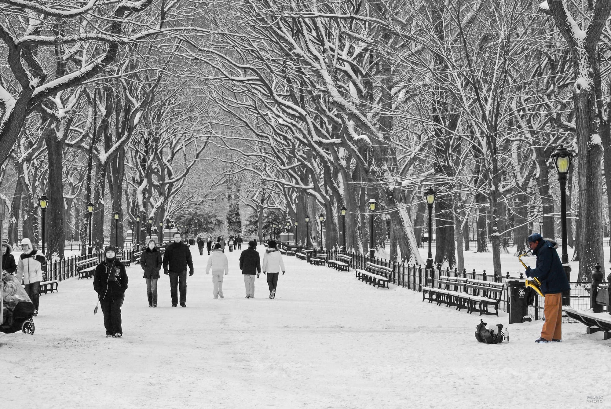 Central Park. Strax före jul.