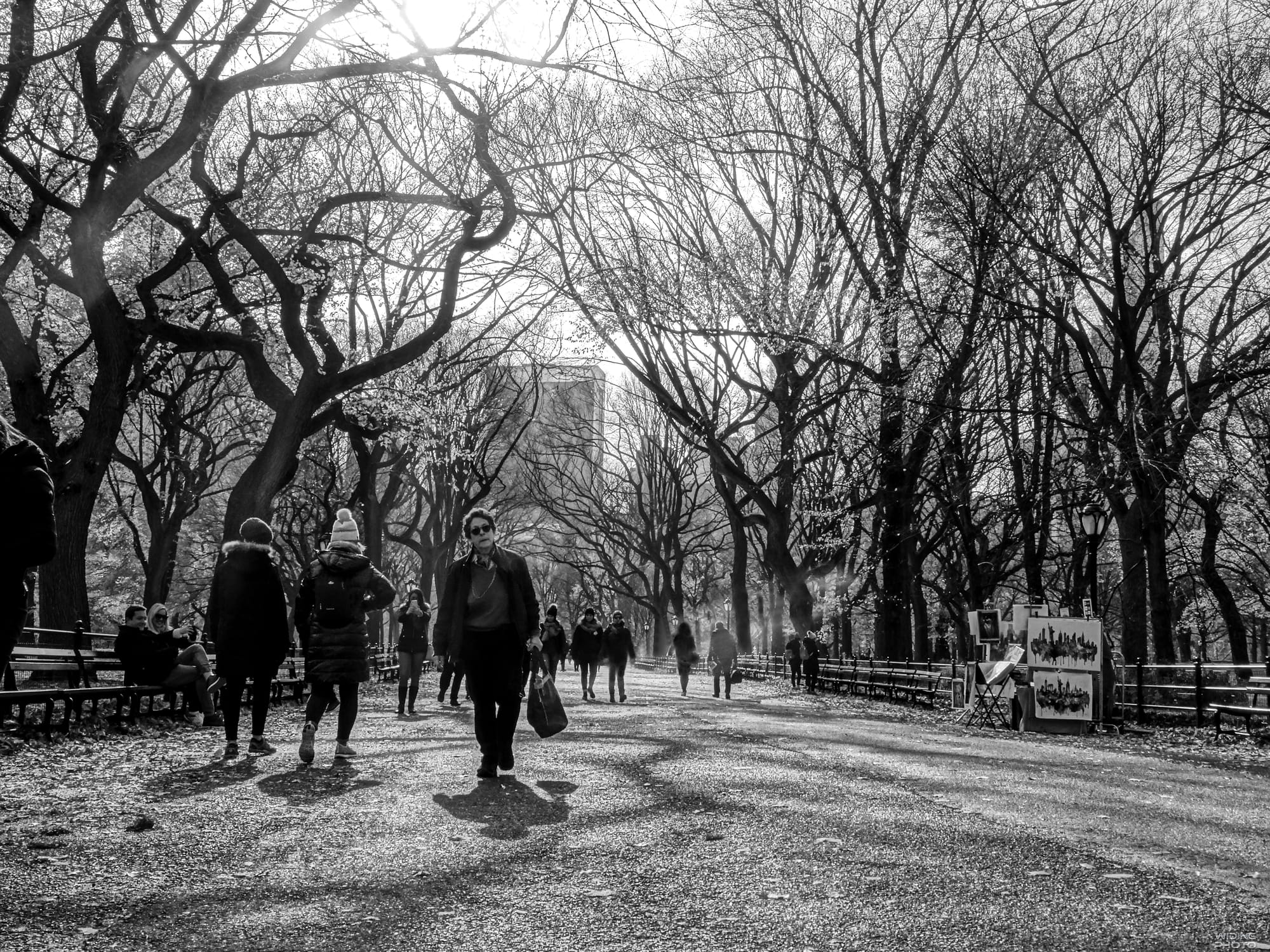 208. The Mall in Central Park 2019