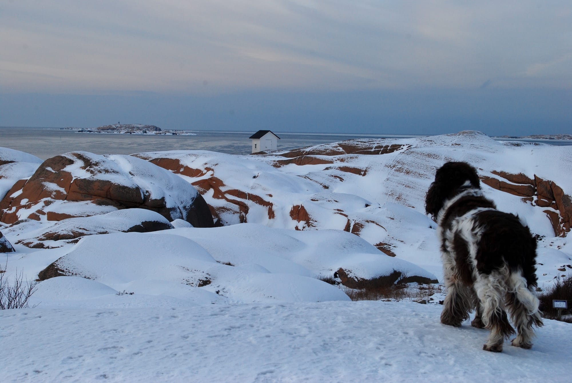 137. Winterday at Stångehuvud