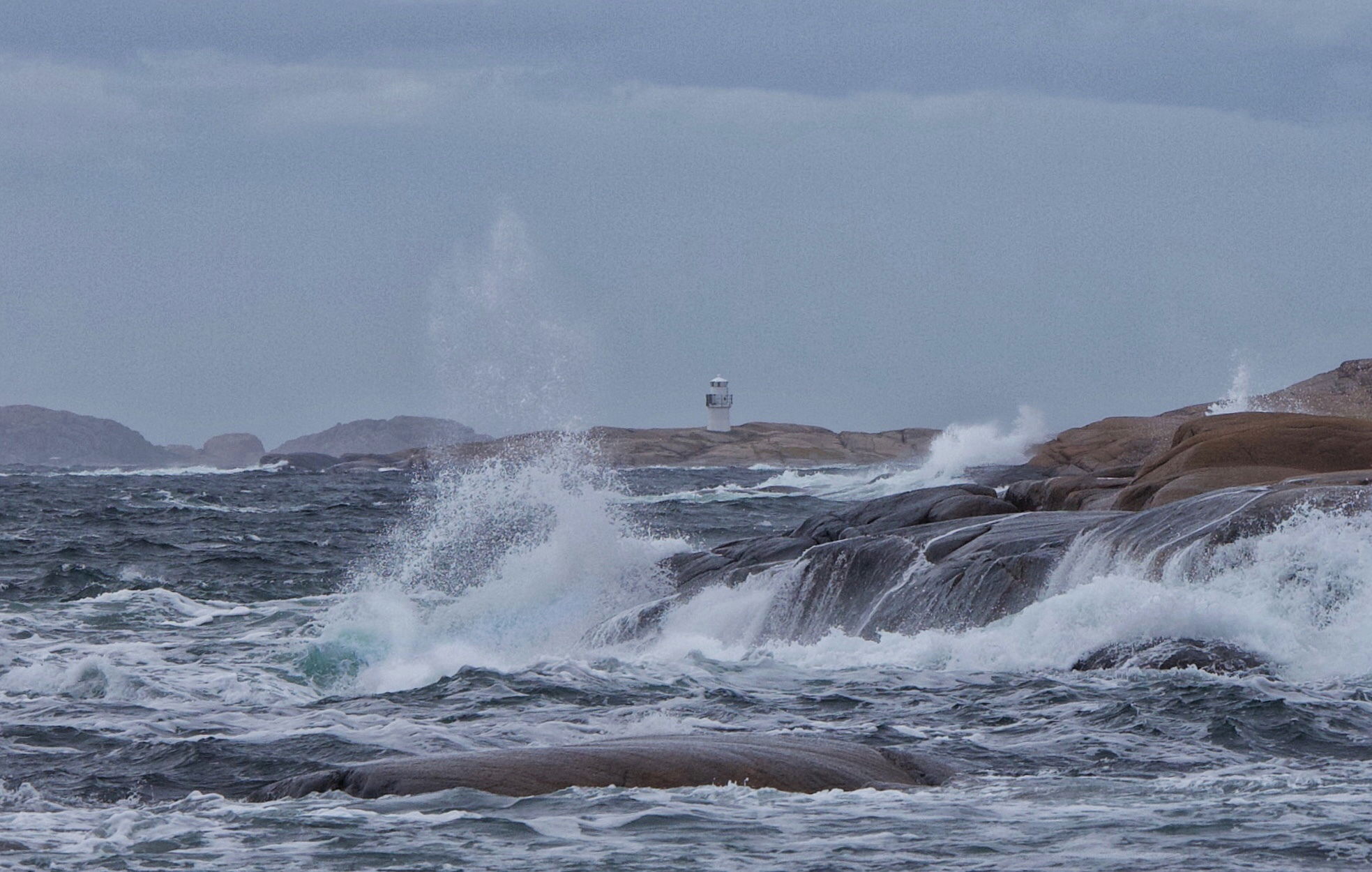 143. Gulskär