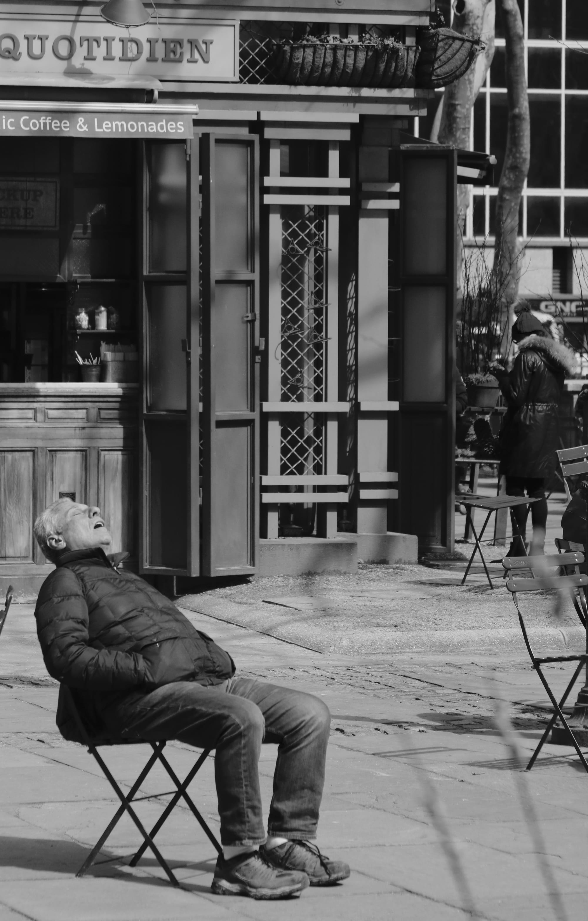 214.  A Catnap in Bryant Park