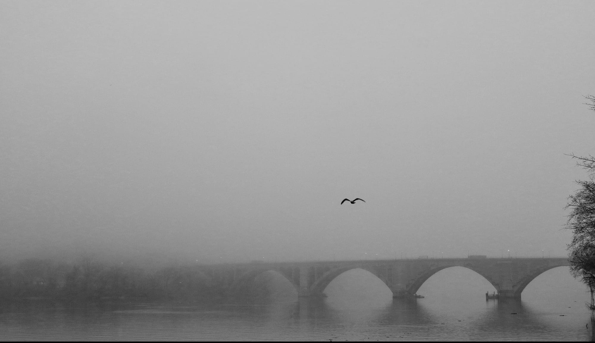 Potomac River, Washington DC