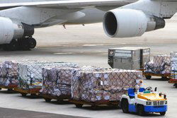 CARGO IMPORT