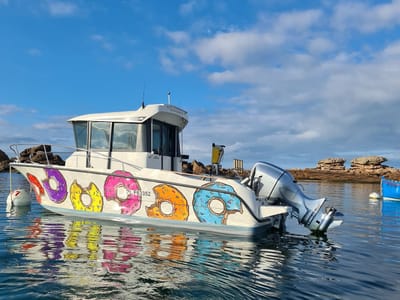 TREGASTEL TAXI image